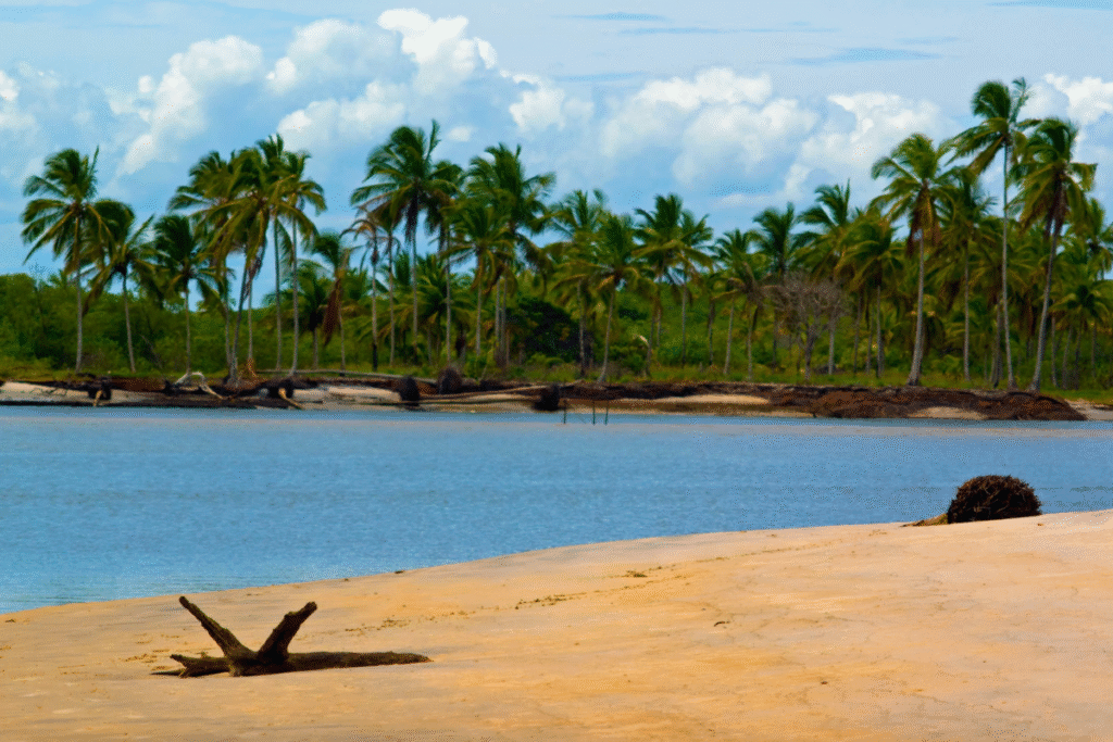 Canavieiras, Bahia - Melhores Pousadas Brasil