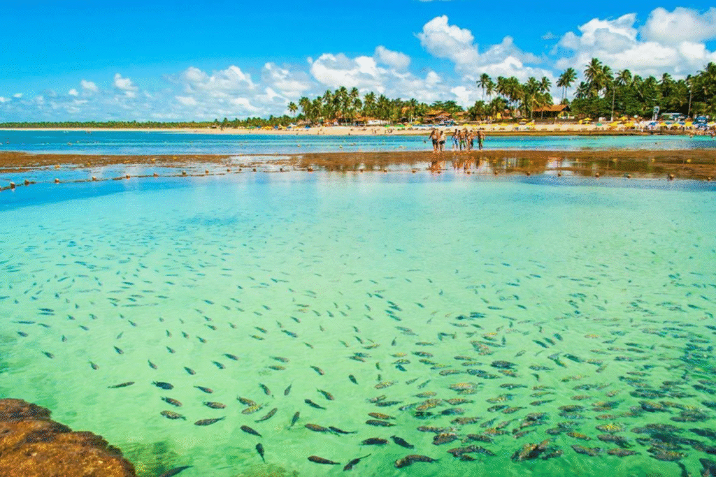 Sao miguel dos milagres, Alagoas - Melhores Pousadas Brasil
