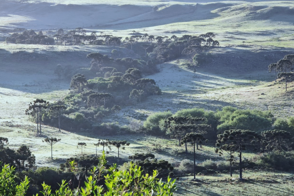 Parque Nacional de Sao Joaquim, SC - Melhores Pousadas Brasil