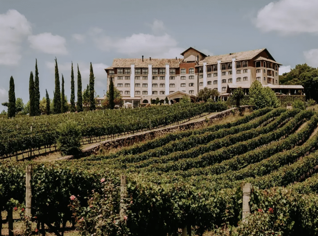 Vista dos vinhedos do Spa do Vinho - Melhores Pousadas Brasil